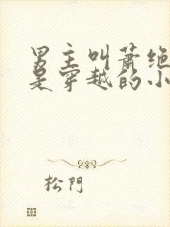 男主叫萧绝女主是穿越的小说