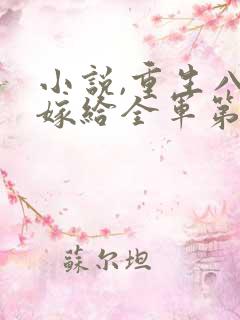 小说,重生八零嫁给全军第一硬汉