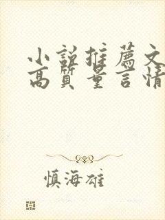 小说推荐文笔好高质量言情