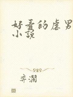 好看的虐男主的小说