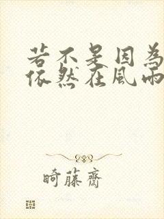 若不是因为你我依然在风雨里歌词