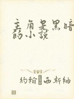 主角是黑暗戴拿的小说