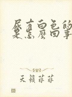 尿有白色的泡泡是怎么回事