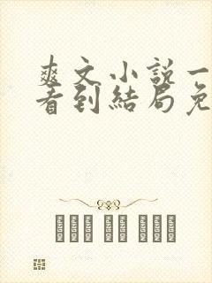 爽文小说一口气看到结局免费