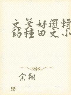 文笔好逻辑严谨的种田文小说