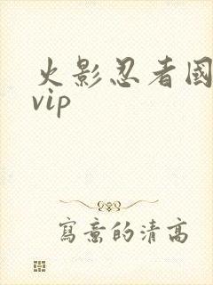 火影忍者国语版vip