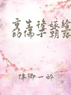 重生后嫁给渣过的佛子朝露