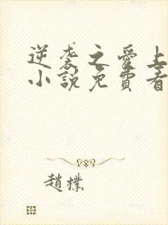 逆袭之爱上情敌小说免费看