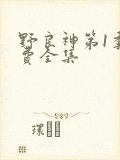 野良神第1季免费全集