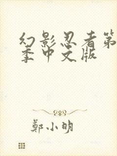 幻影忍者第17季中文版