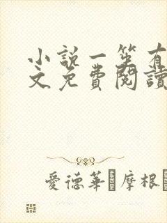 小说一笙有喜全文免费阅读完整版