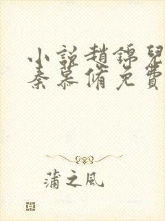 小说赵锦儿, 秦慕修免费阅读