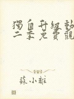 独自升级动漫第二季免费观看