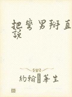 把弯男掰直的小说