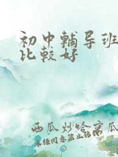 初中辅导班哪里比较好