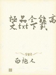 极品全能高手全文txt下载