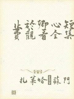 止于卿心短剧免费观看全集播放