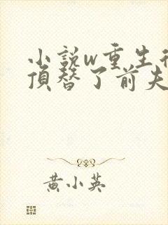 小说w重生后我顶替了前夫白月光,