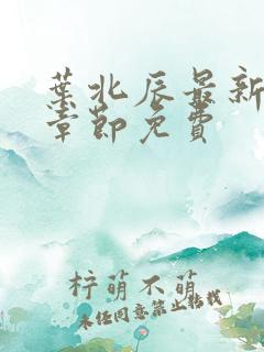 叶北辰最新更新章节免费