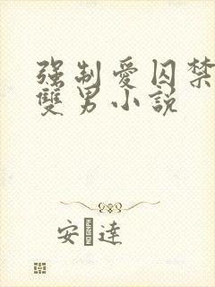 强制爱囚禁调教双男小说