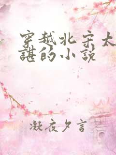 穿越北宋太子赵谌的小说