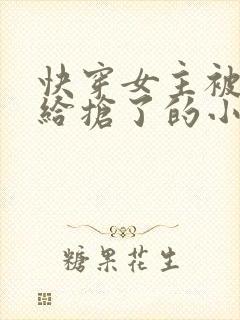 快穿女主被反派给抢了的小说