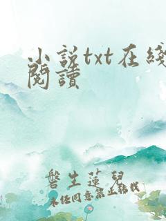 小说txt在线阅读