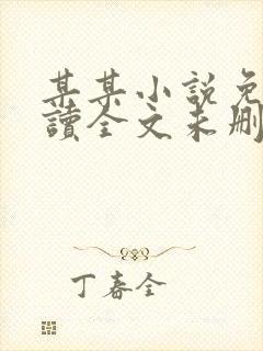 某某小说免费阅读全文未删减