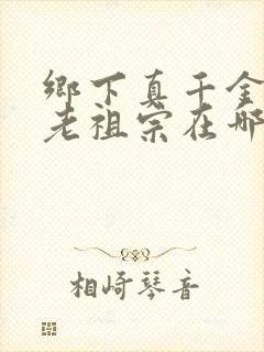 乡下真千金竟是老祖宗在哪看