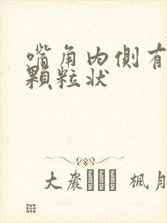 嘴角内侧有白点颗粒状