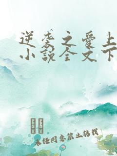 逆袭之爱上情敌小说全文下载