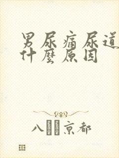 男尿痛尿道刺痛什么原因