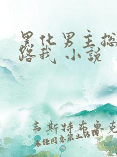 黑化男主总想套路我 小说