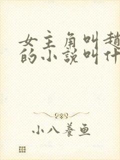 女主角叫赵锦儿的小说叫什么名字