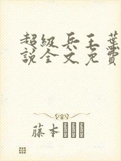 超级兵王叶谦小说全文免费阅读全文