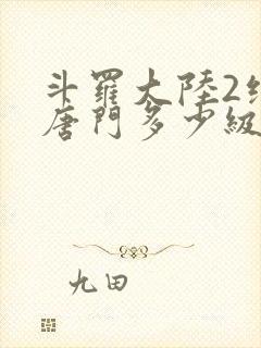 斗罗大陆2绝世唐门多少级