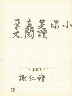 孕来是你小说全文阅读