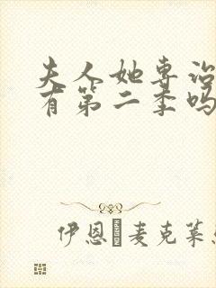 夫人她专治不服有第二季吗