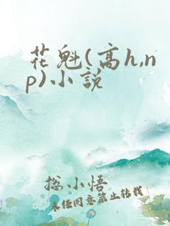 花魁(高h,np)小说