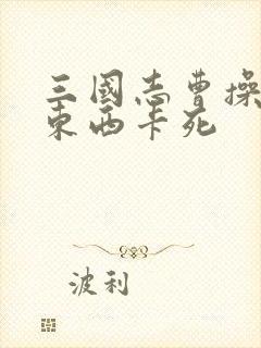 三国志曹操传买东西卡死