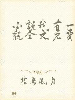 小说我有一剑叶观全文免费阅读