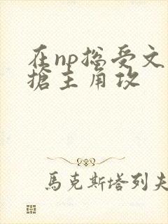 在np总受文里抢主角攻