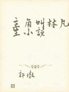 主角叫林凡的重生小说