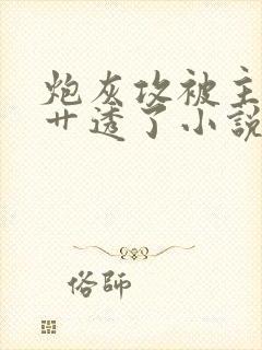 炮灰攻被主角攻艹透了小说