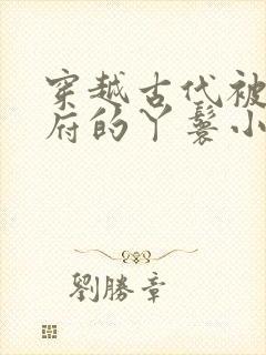 穿越古代被放出府的丫鬟小说