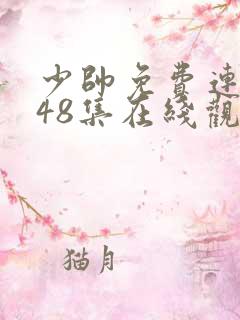 少帅免费连续剧48集在线观看