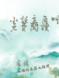 小说主角叫李锋免费阅读