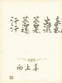 汗蒸蒸出来的是汗还是湿气