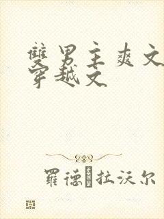 双男主爽文重生穿越文