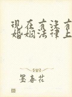 现在有没有事实婚姻法律上承认的